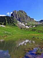 Bernese Alps Switzerland 58